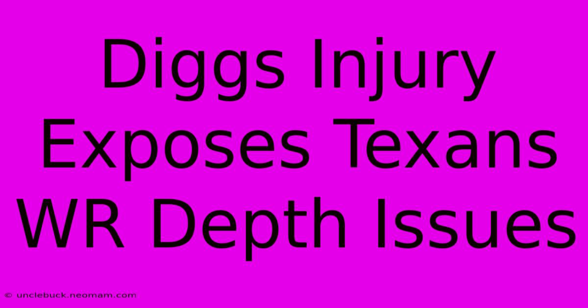 Diggs Injury Exposes Texans WR Depth Issues