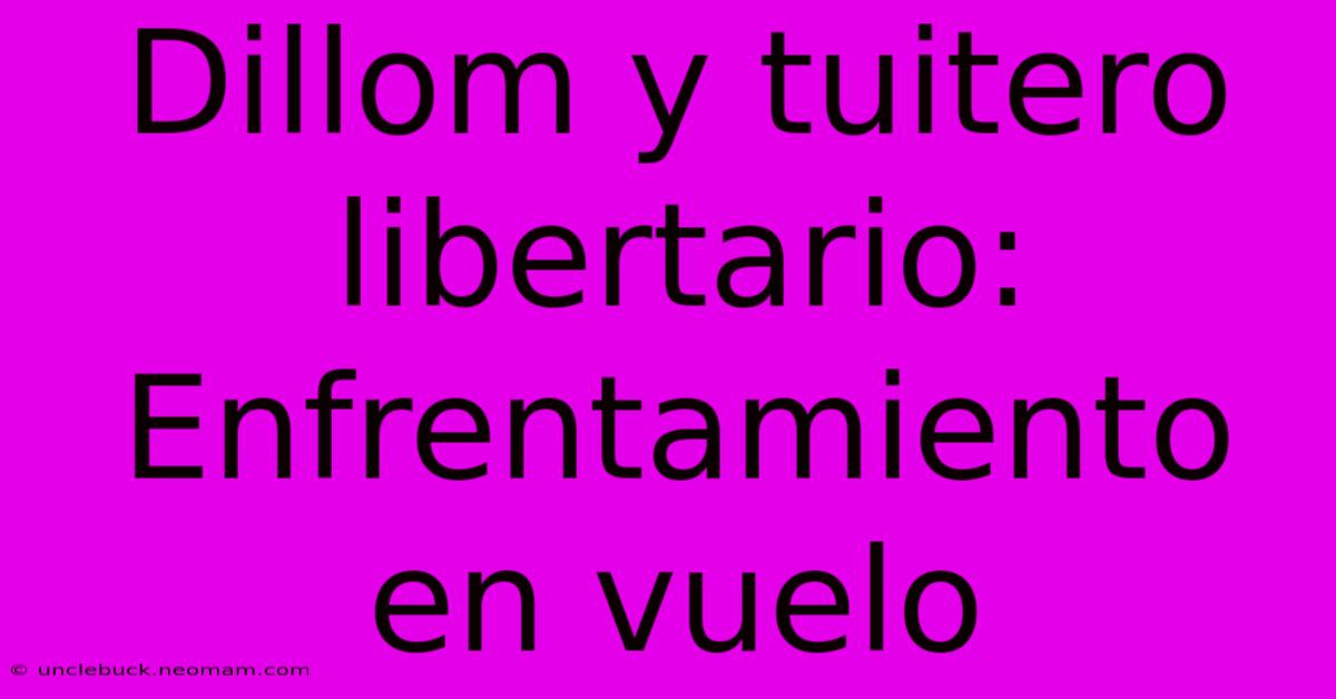 Dillom Y Tuitero Libertario: Enfrentamiento En Vuelo 