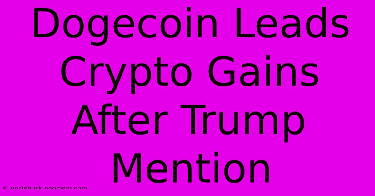 Dogecoin Leads Crypto Gains After Trump Mention