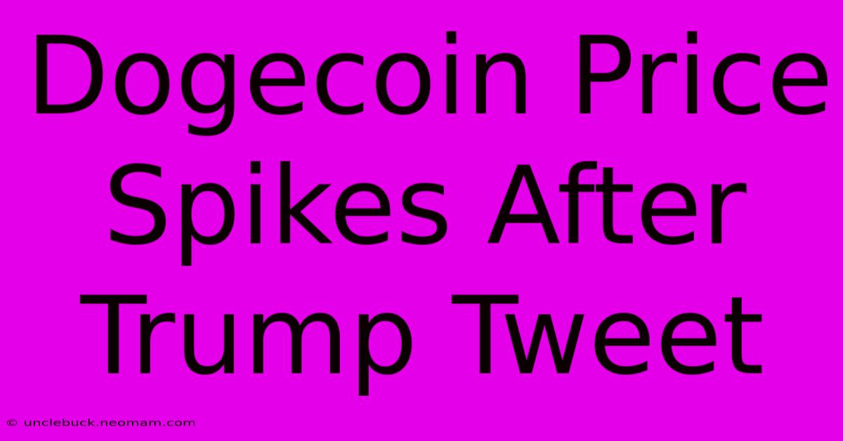 Dogecoin Price Spikes After Trump Tweet