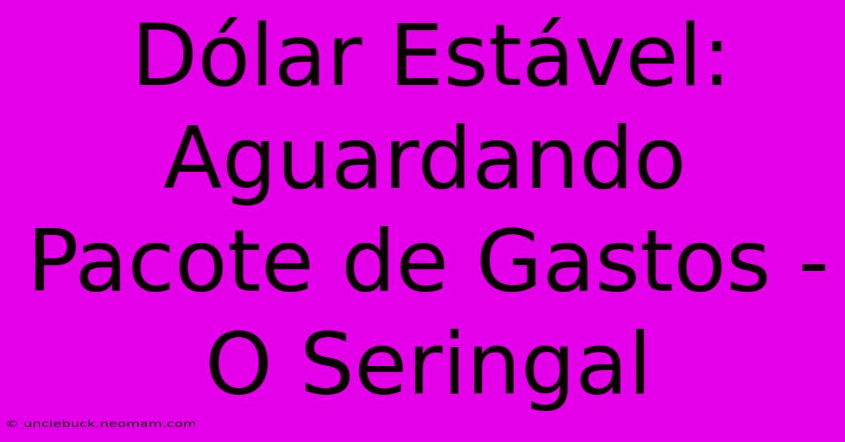 Dólar Estável: Aguardando Pacote De Gastos - O Seringal