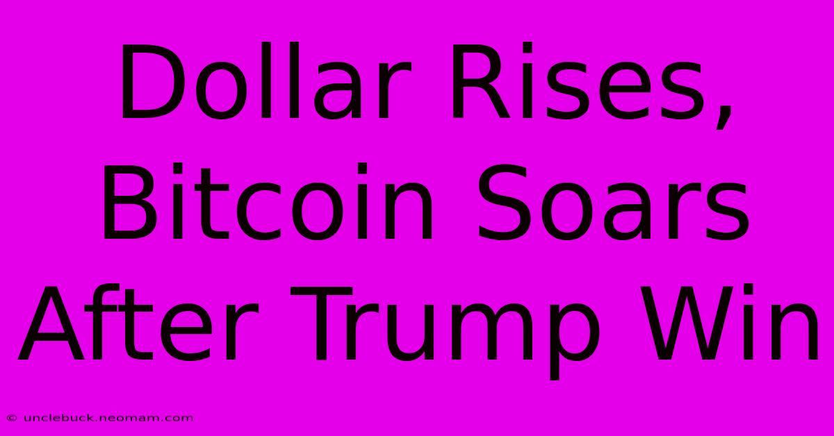 Dollar Rises, Bitcoin Soars After Trump Win 