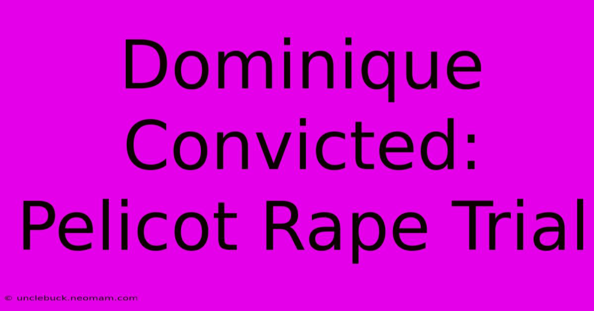 Dominique Convicted: Pelicot Rape Trial