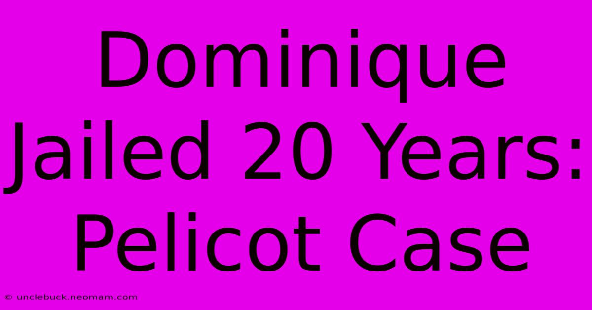 Dominique Jailed 20 Years: Pelicot Case