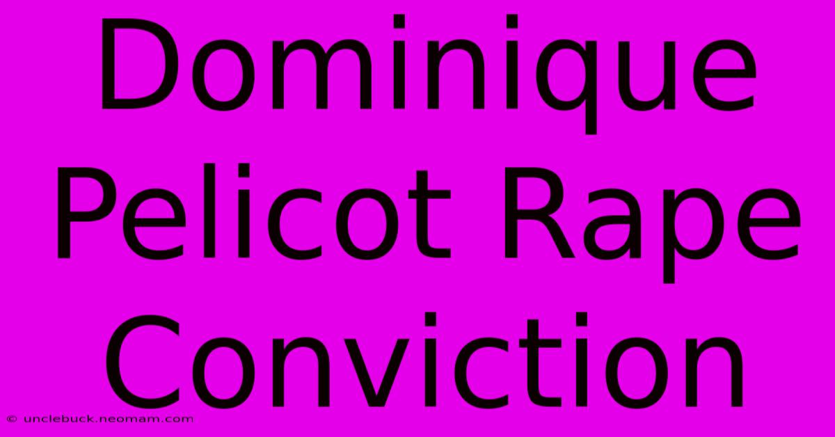 Dominique Pelicot Rape Conviction