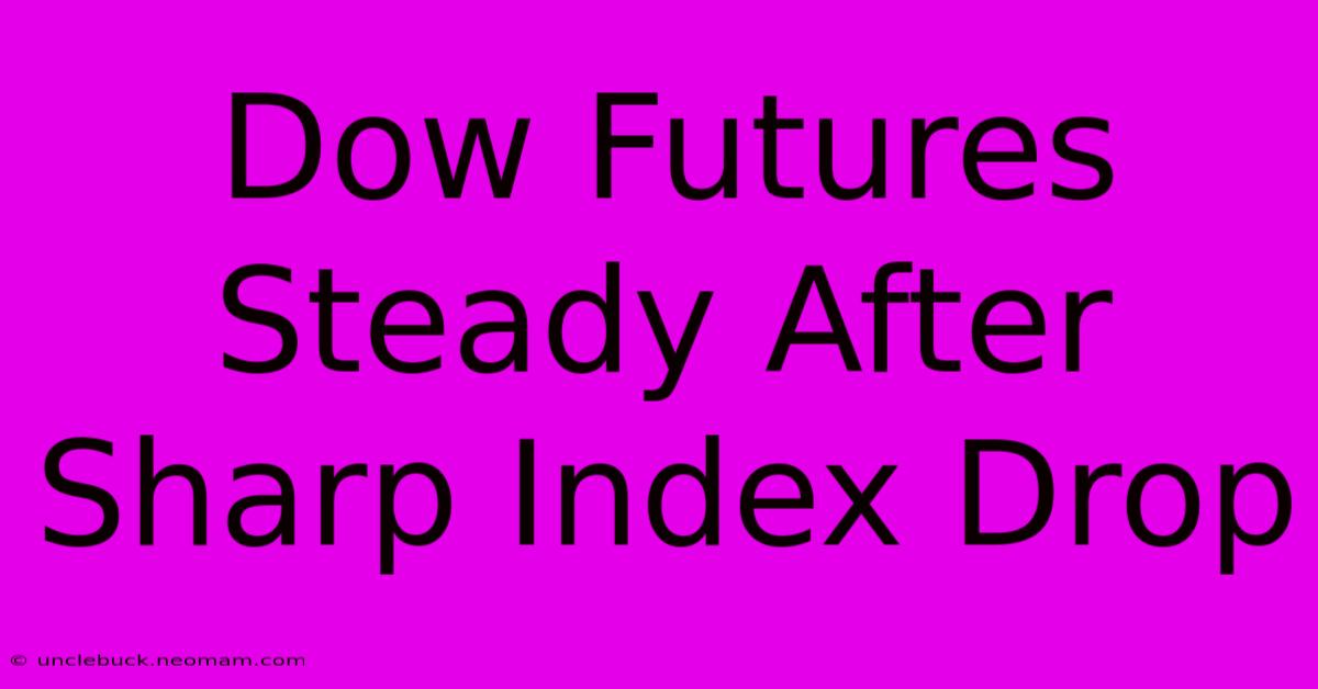 Dow Futures Steady After Sharp Index Drop