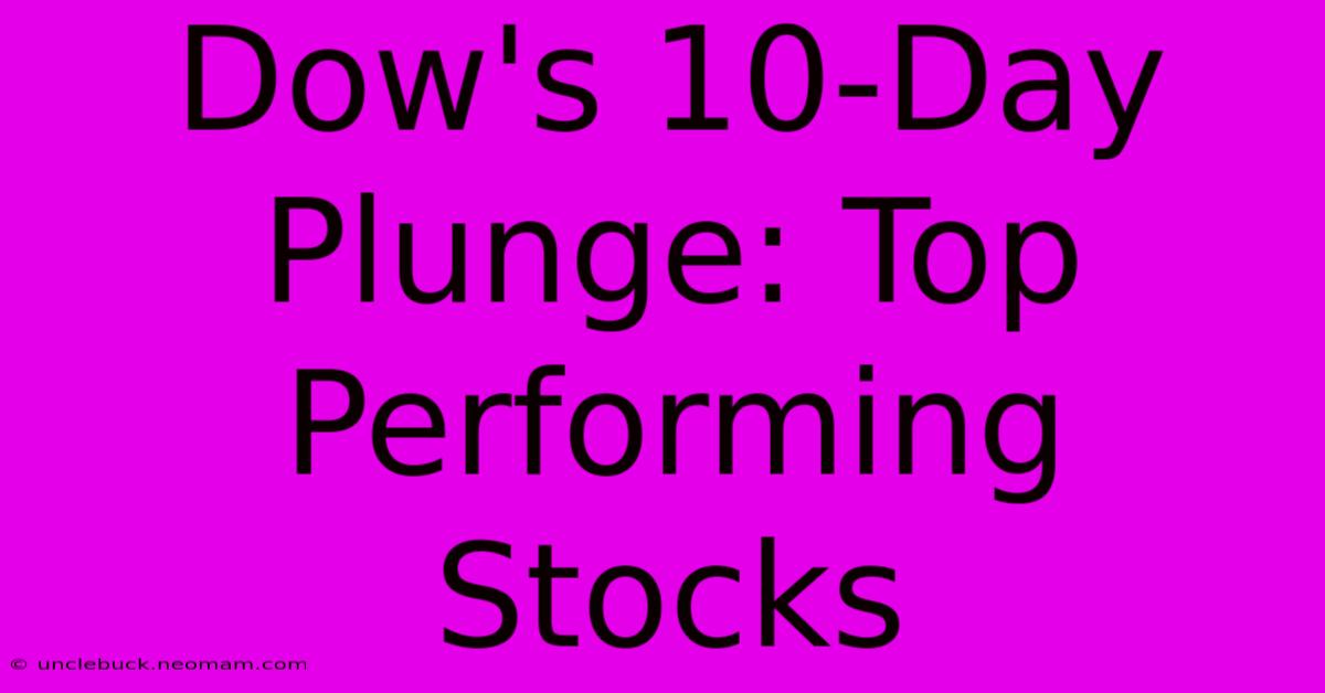 Dow's 10-Day Plunge: Top Performing Stocks