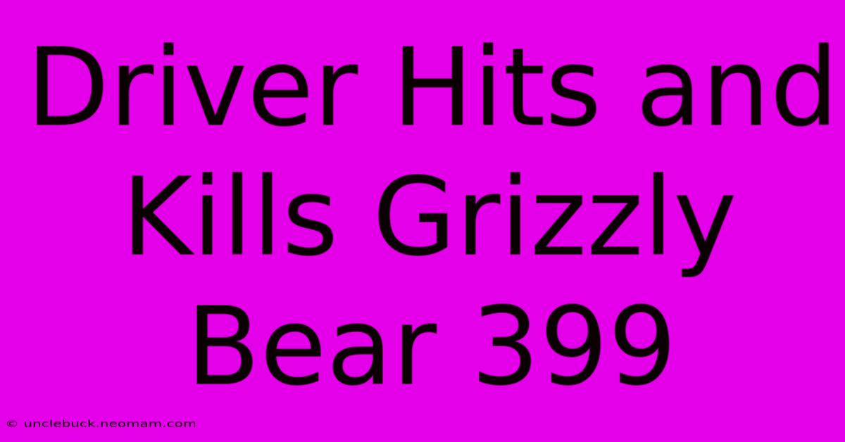 Driver Hits And Kills Grizzly Bear 399 