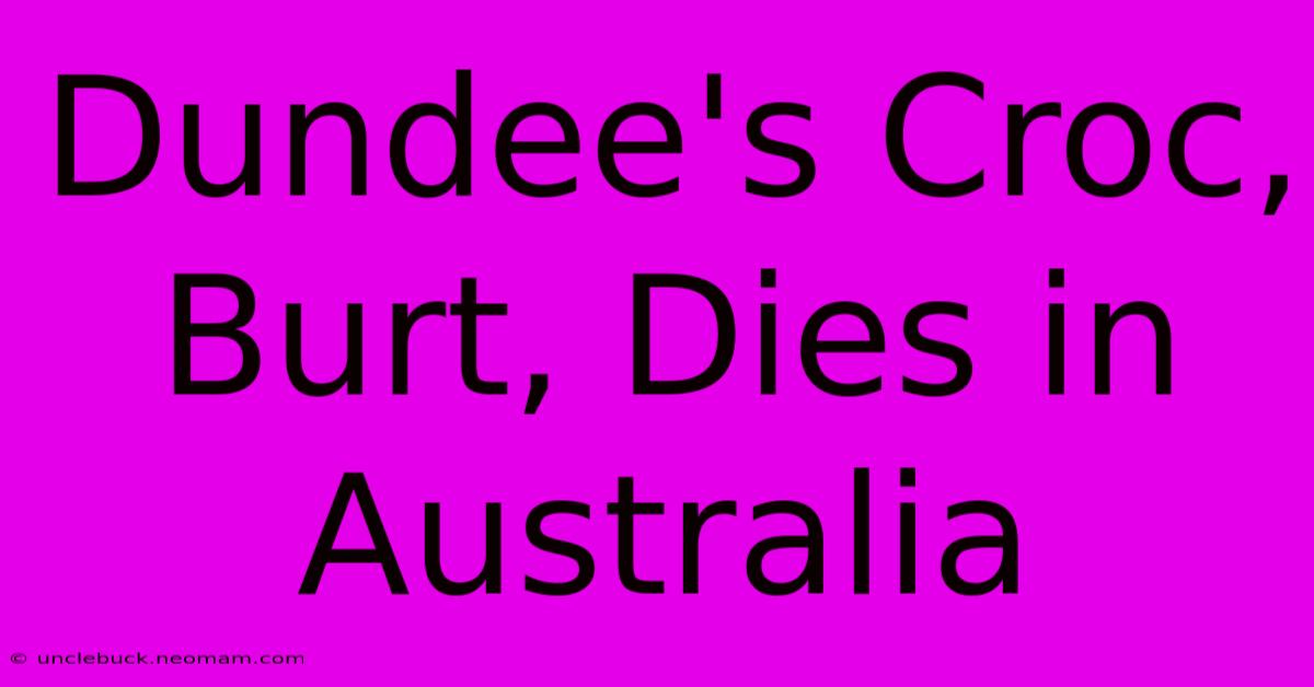 Dundee's Croc, Burt, Dies In Australia