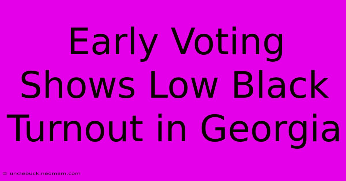 Early Voting Shows Low Black Turnout In Georgia 