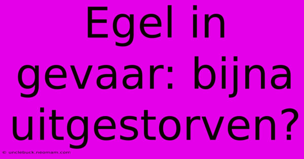 Egel In Gevaar: Bijna Uitgestorven?