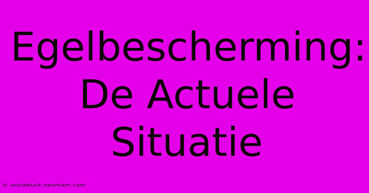 Egelbescherming: De Actuele Situatie 