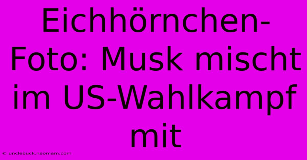 Eichhörnchen-Foto: Musk Mischt Im US-Wahlkampf Mit