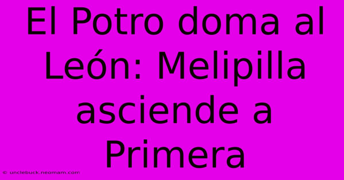 El Potro Doma Al León: Melipilla Asciende A Primera