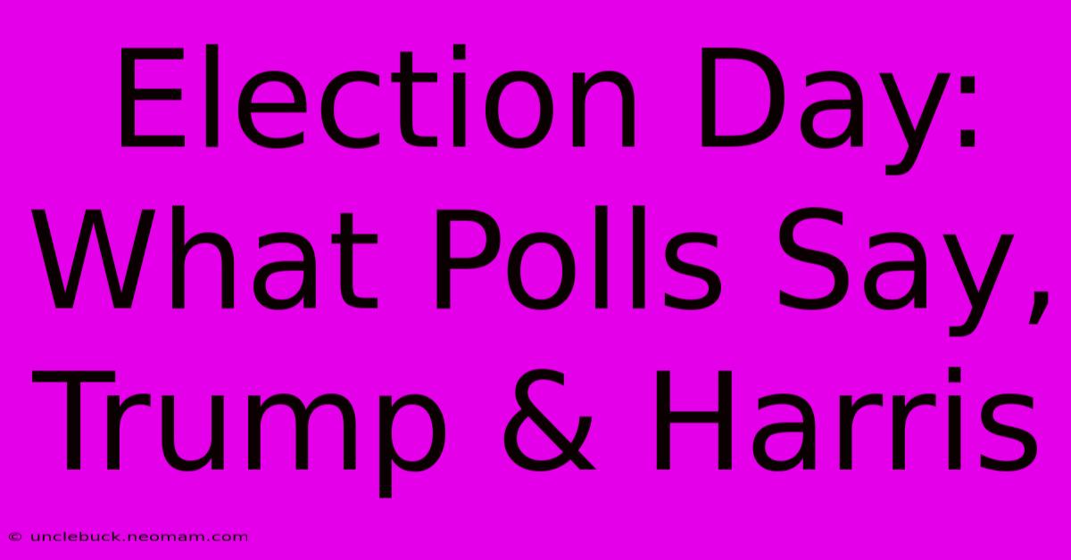 Election Day: What Polls Say, Trump & Harris