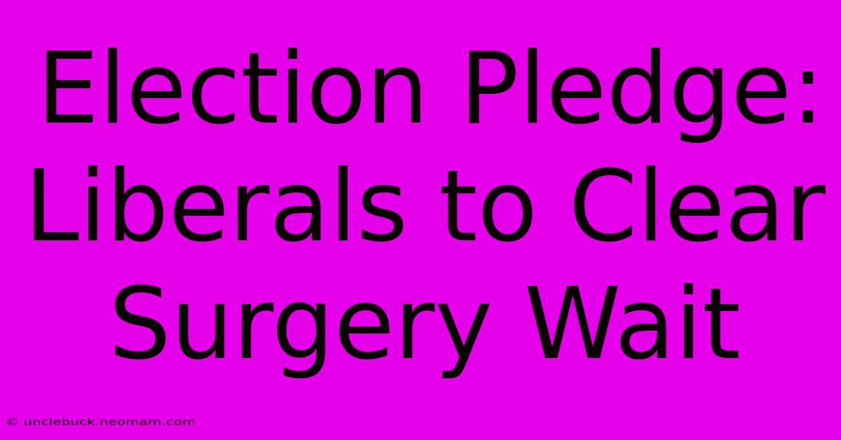 Election Pledge: Liberals To Clear Surgery Wait 