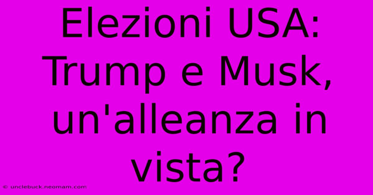 Elezioni USA: Trump E Musk, Un'alleanza In Vista?