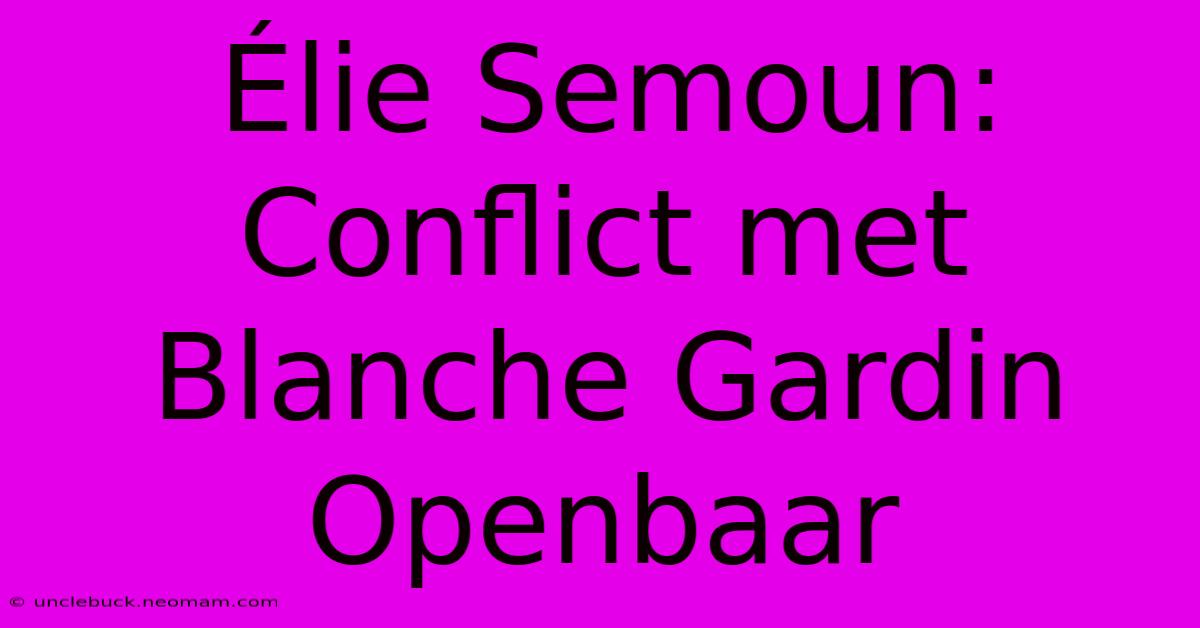 Élie Semoun: Conflict Met Blanche Gardin Openbaar 