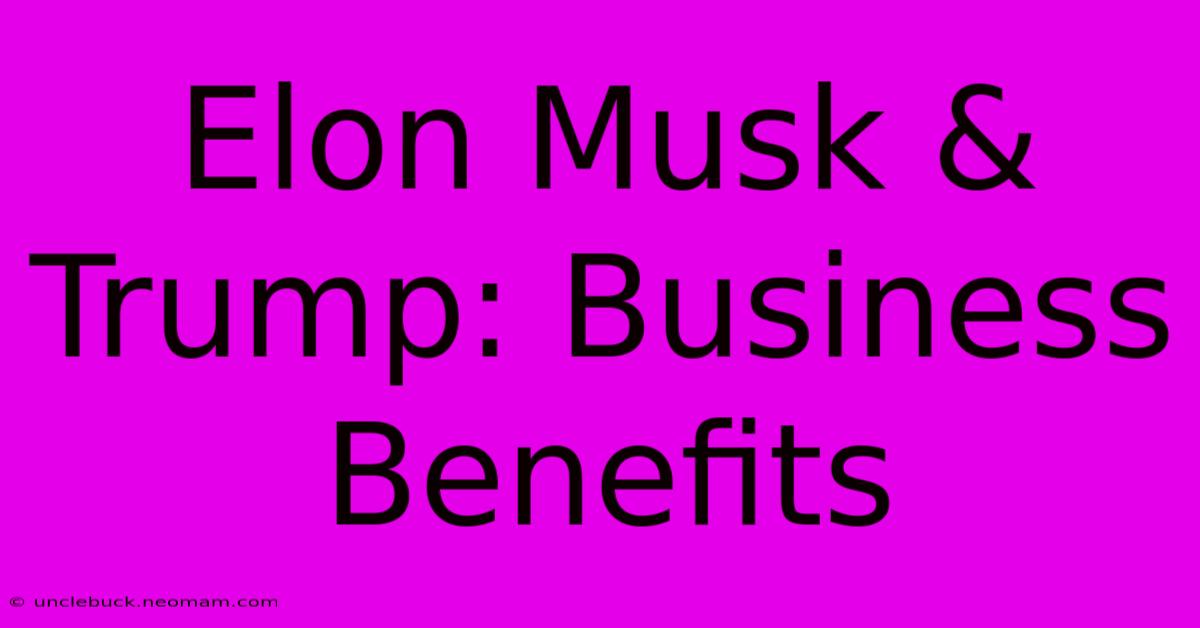 Elon Musk & Trump: Business Benefits