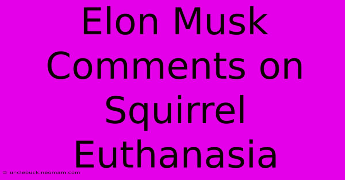 Elon Musk Comments On Squirrel Euthanasia