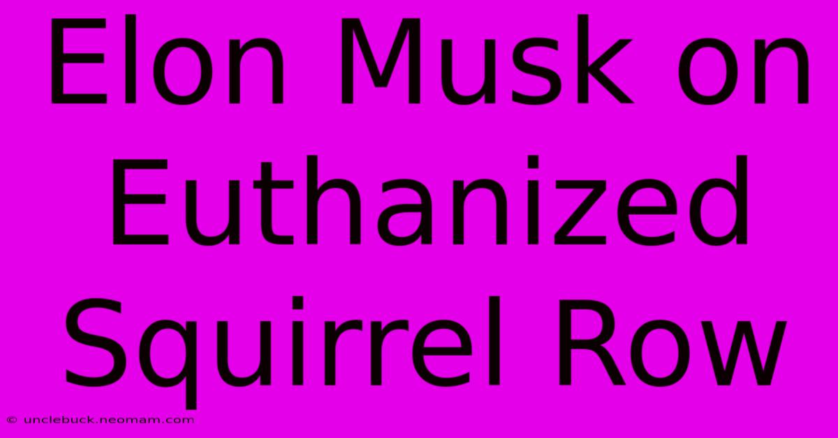 Elon Musk On Euthanized Squirrel Row