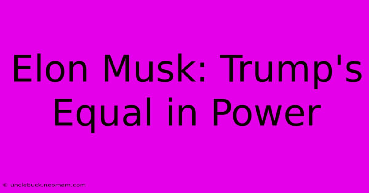 Elon Musk: Trump's Equal In Power