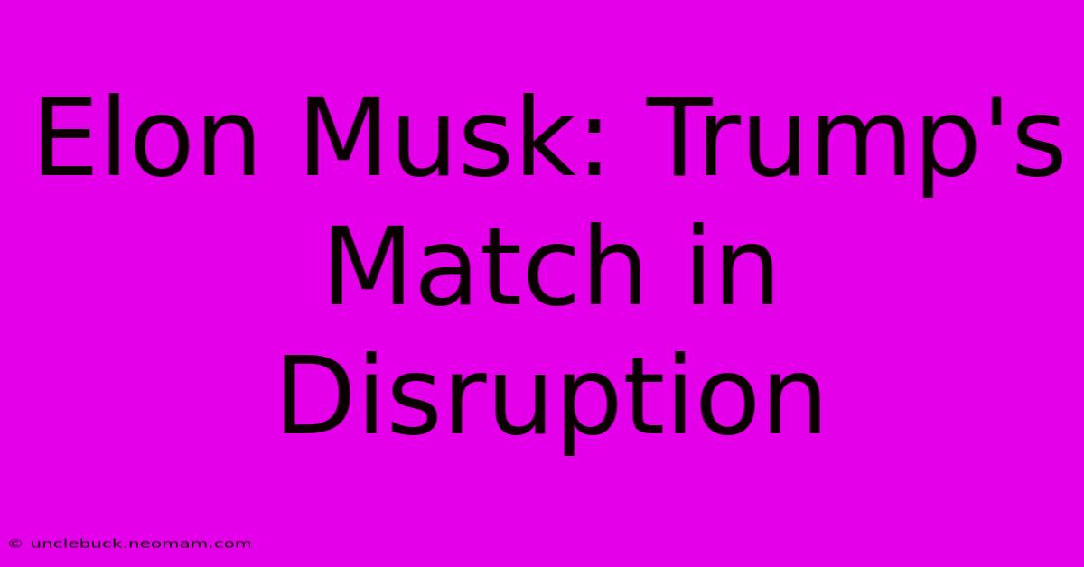 Elon Musk: Trump's Match In Disruption 