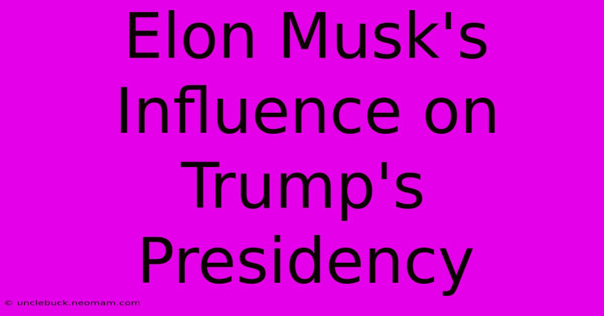 Elon Musk's Influence On Trump's Presidency