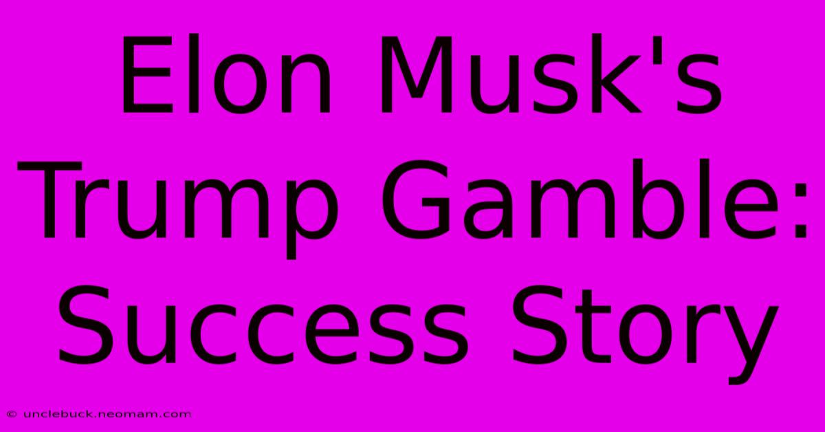 Elon Musk's Trump Gamble: Success Story