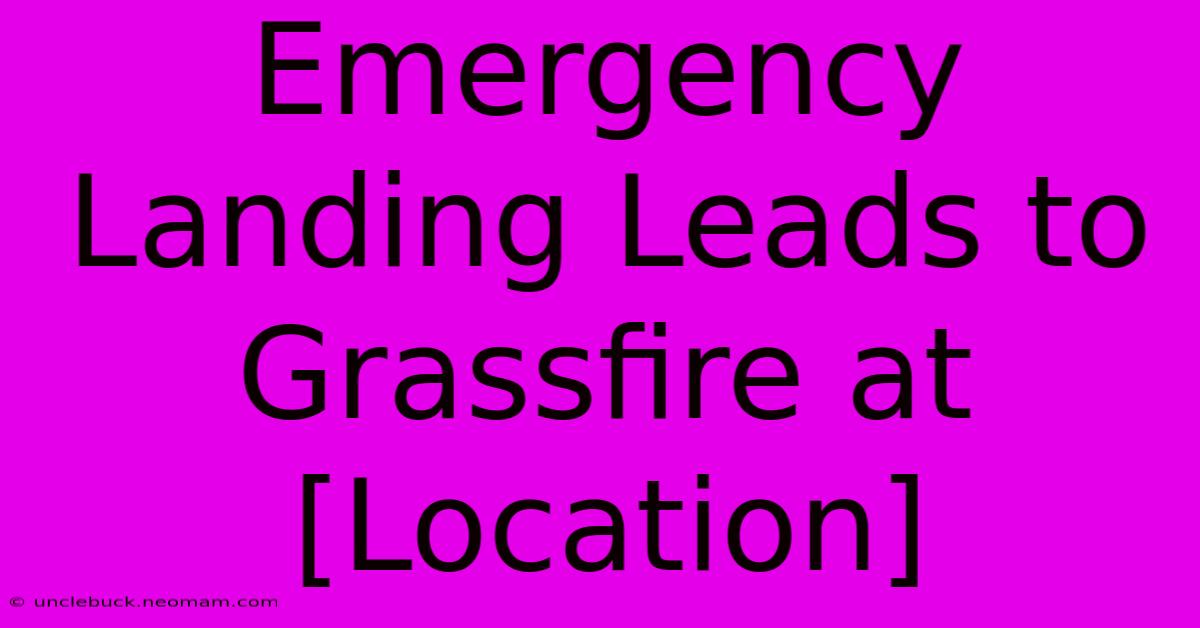 Emergency Landing Leads To Grassfire At [Location]