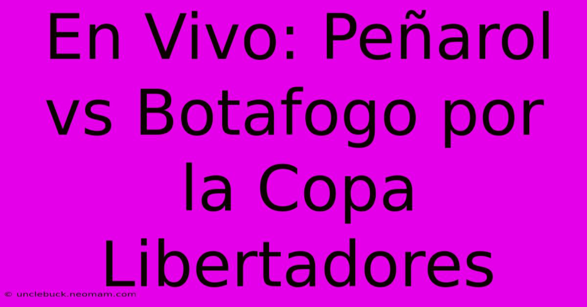 En Vivo: Peñarol Vs Botafogo Por La Copa Libertadores