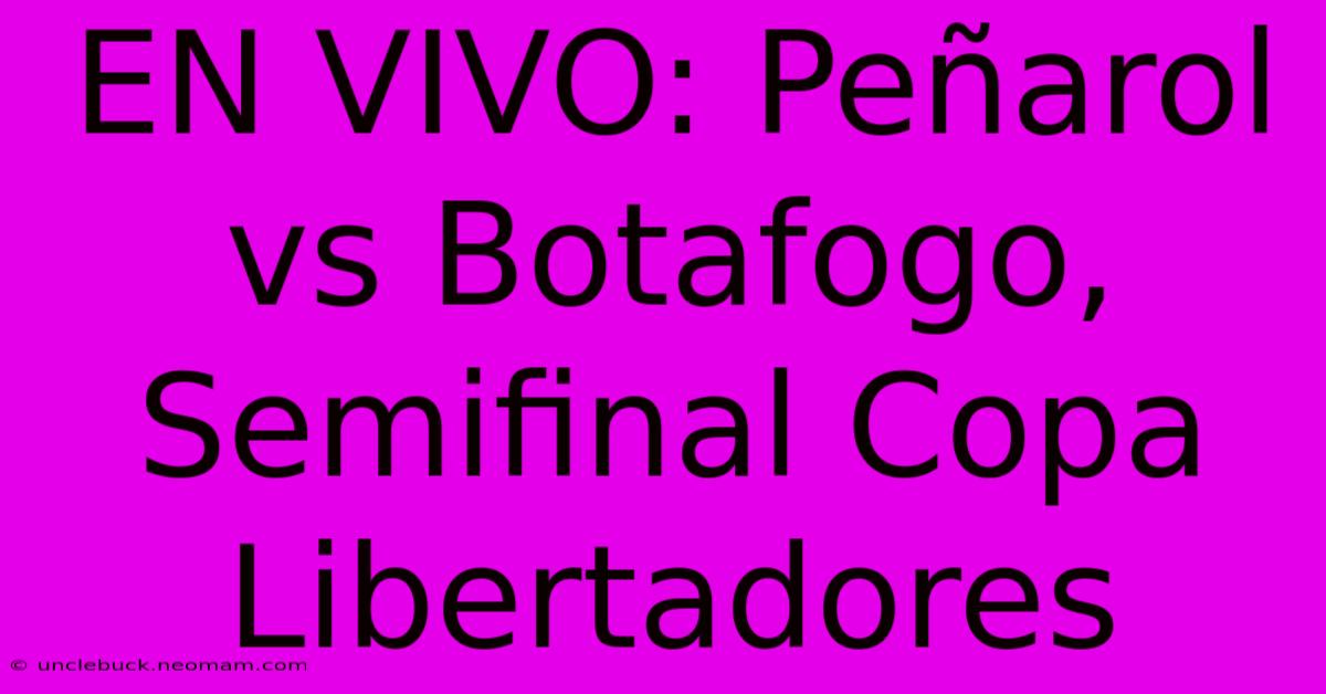 EN VIVO: Peñarol Vs Botafogo, Semifinal Copa Libertadores 