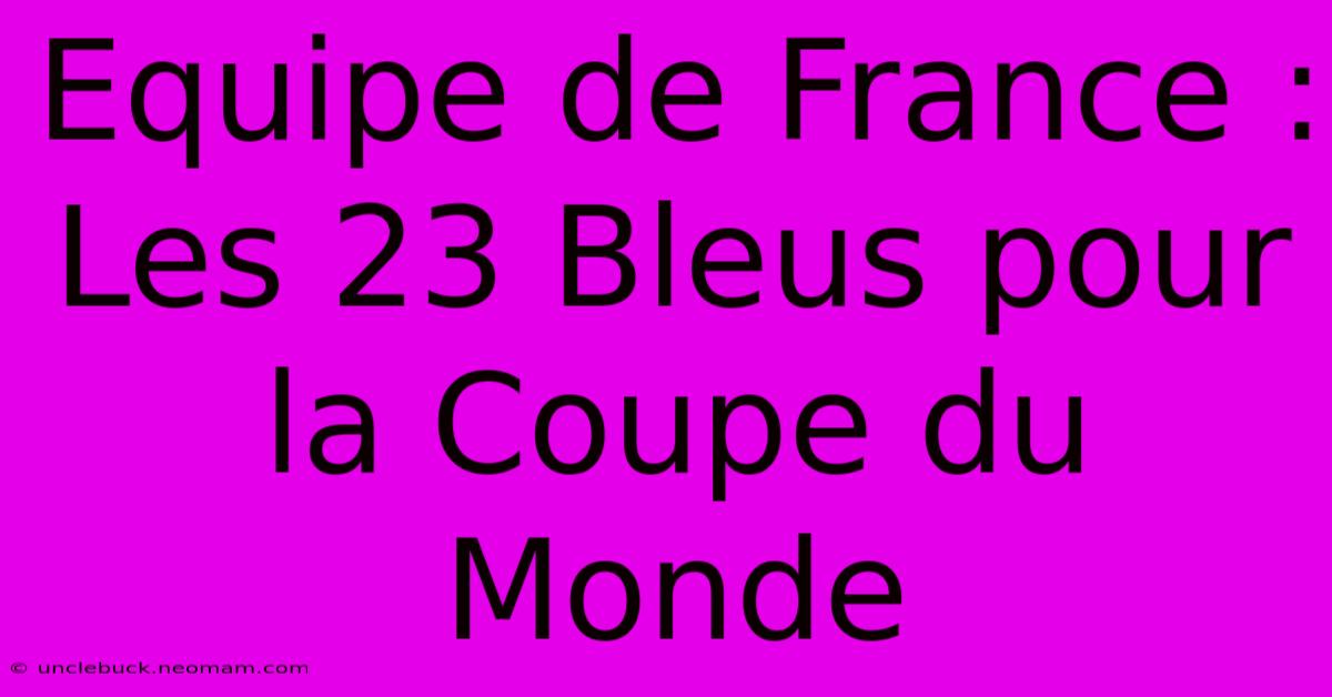 Equipe De France : Les 23 Bleus Pour La Coupe Du Monde