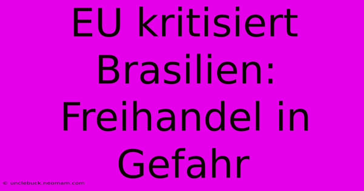 EU Kritisiert Brasilien: Freihandel In Gefahr