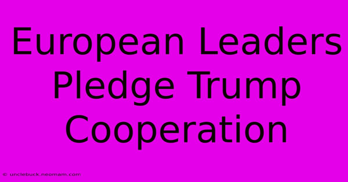 European Leaders Pledge Trump Cooperation