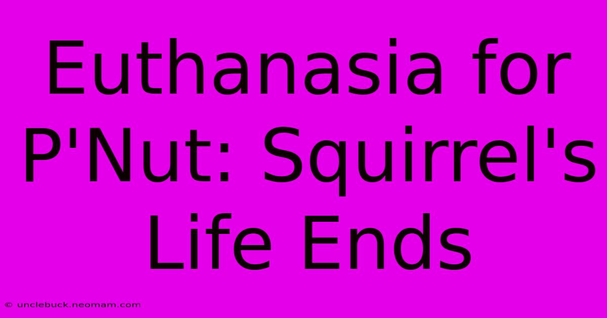 Euthanasia For P'Nut: Squirrel's Life Ends