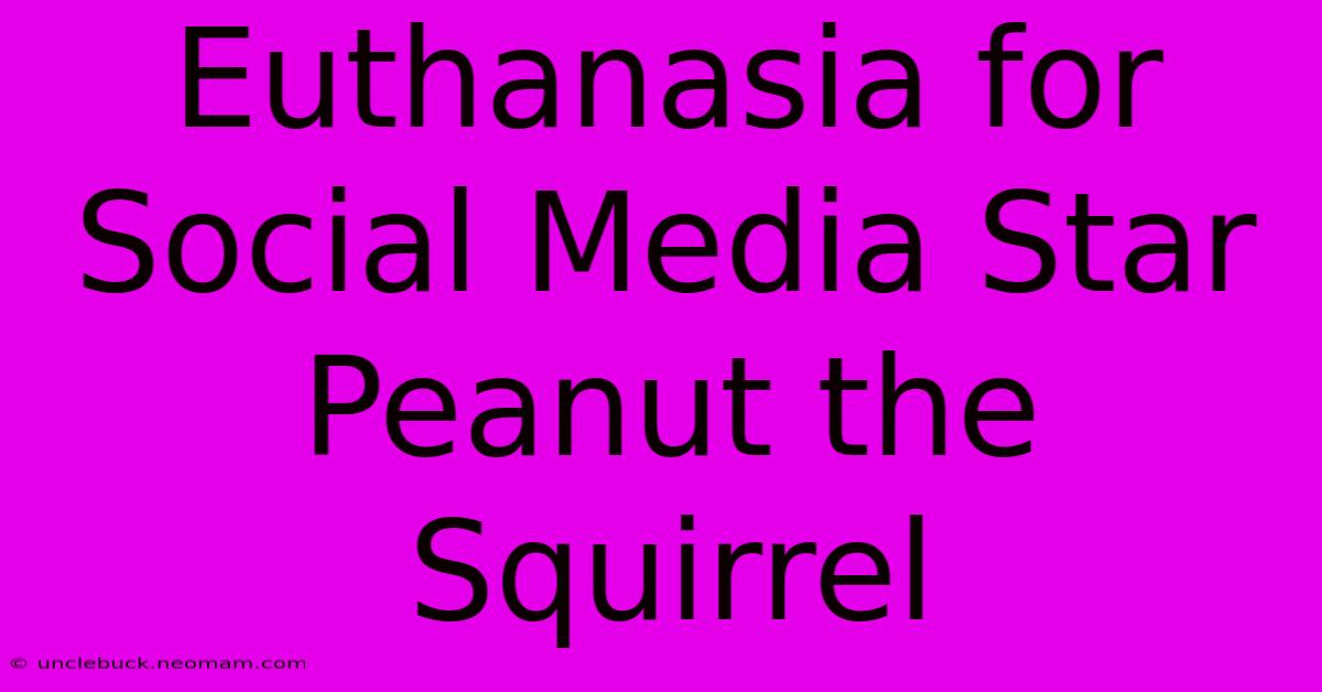 Euthanasia For Social Media Star Peanut The Squirrel 