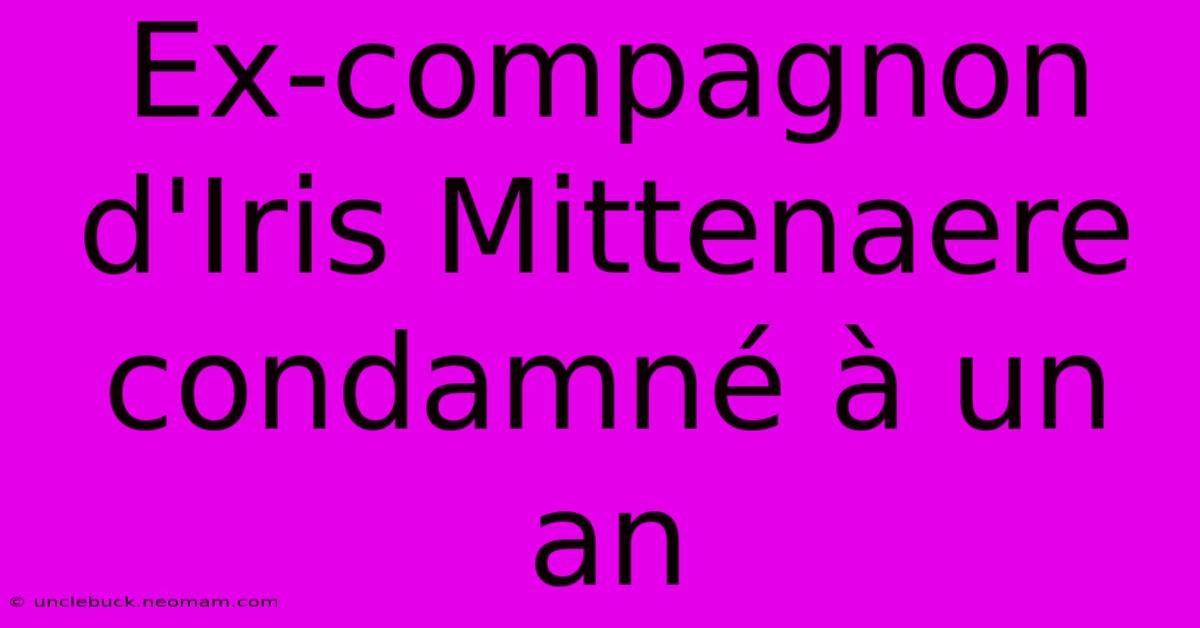 Ex-compagnon D'Iris Mittenaere Condamné À Un An