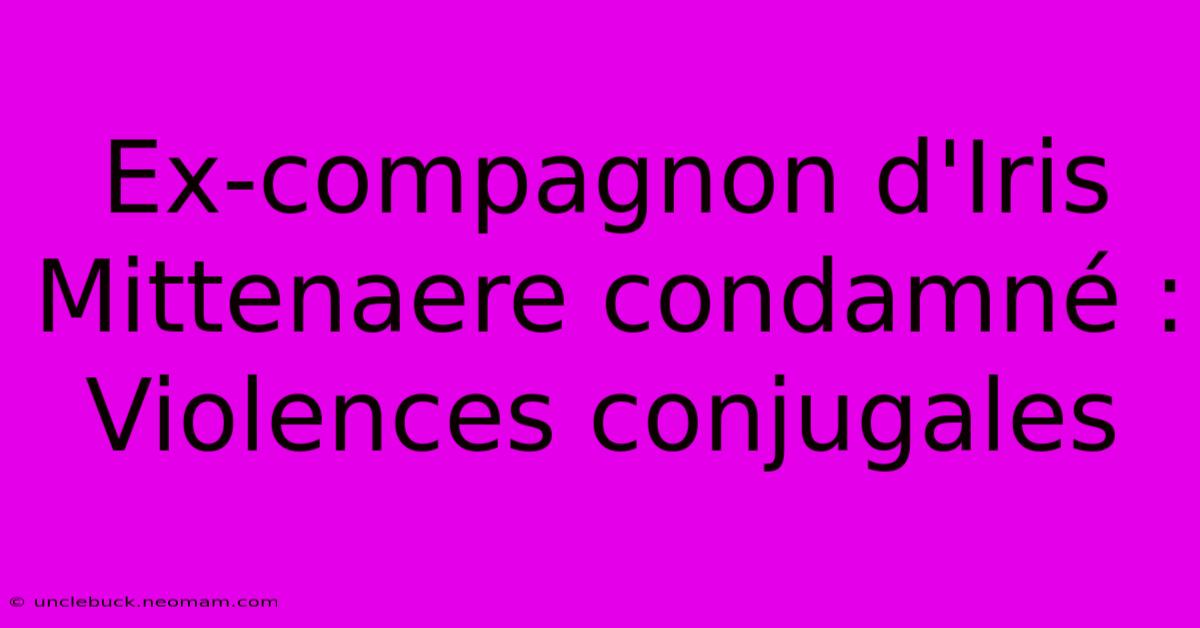 Ex-compagnon D'Iris Mittenaere Condamné : Violences Conjugales