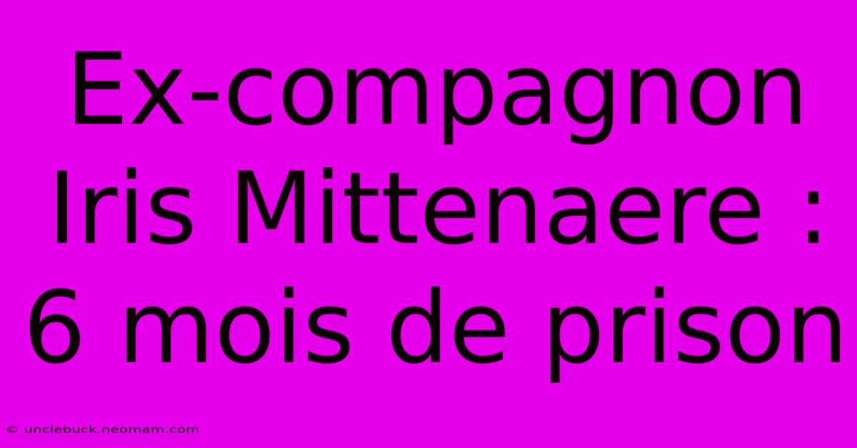 Ex-compagnon Iris Mittenaere : 6 Mois De Prison