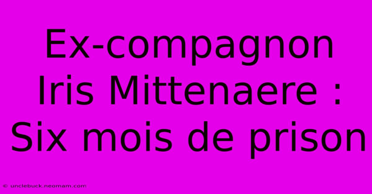 Ex-compagnon Iris Mittenaere : Six Mois De Prison