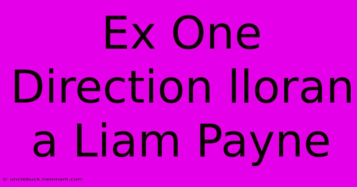 Ex One Direction Lloran A Liam Payne