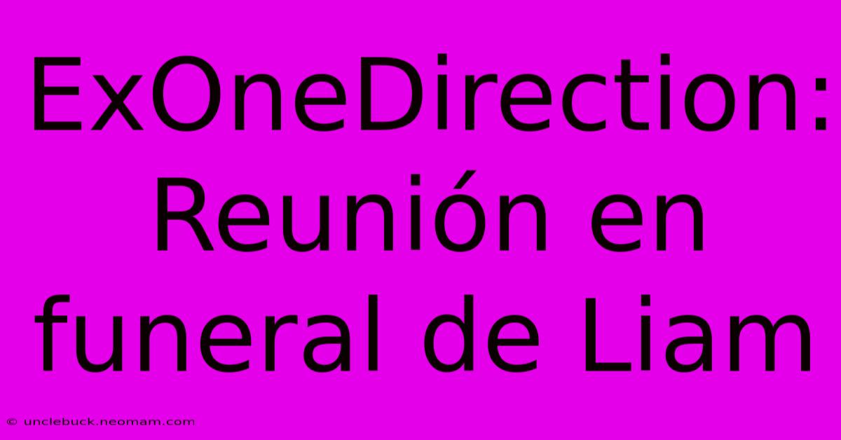 ExOneDirection: Reunión En Funeral De Liam