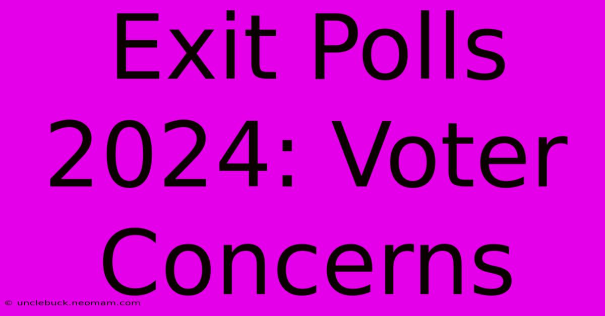 Exit Polls 2024: Voter Concerns