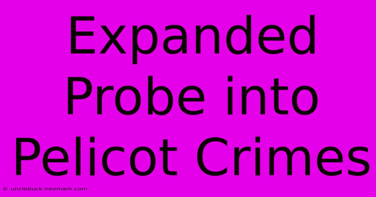 Expanded Probe Into Pelicot Crimes