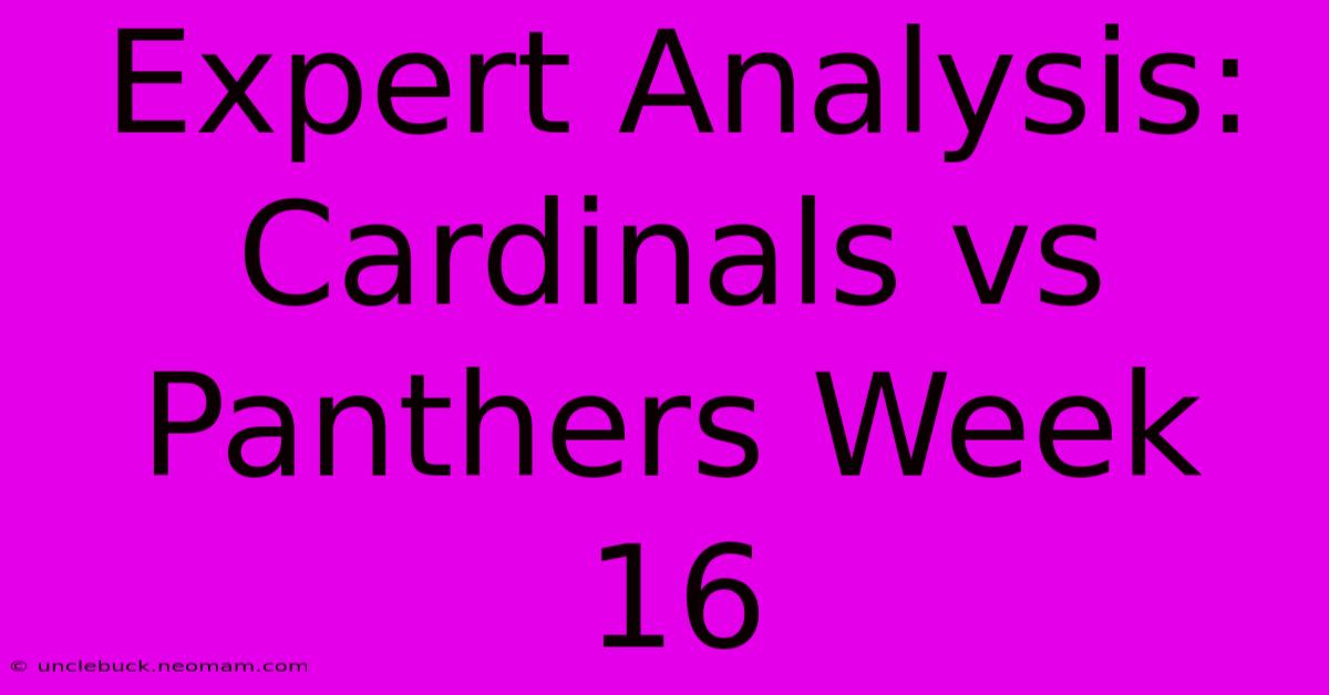 Expert Analysis: Cardinals Vs Panthers Week 16