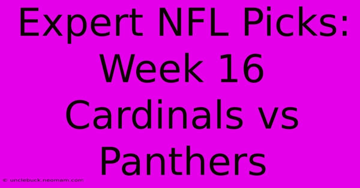 Expert NFL Picks: Week 16 Cardinals Vs Panthers