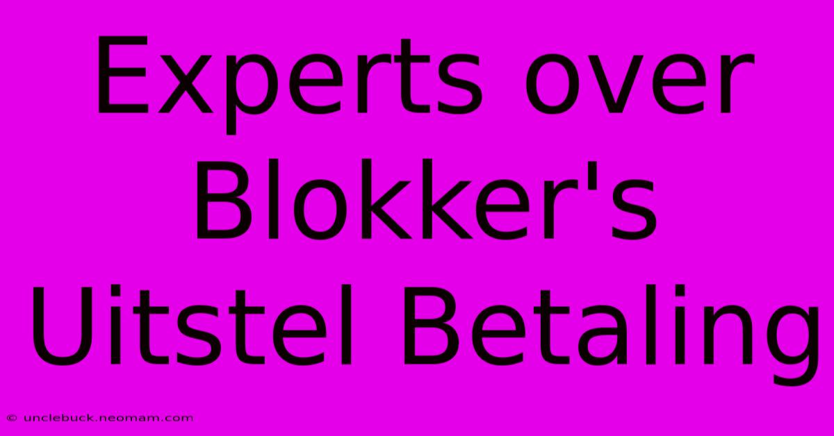 Experts Over Blokker's Uitstel Betaling