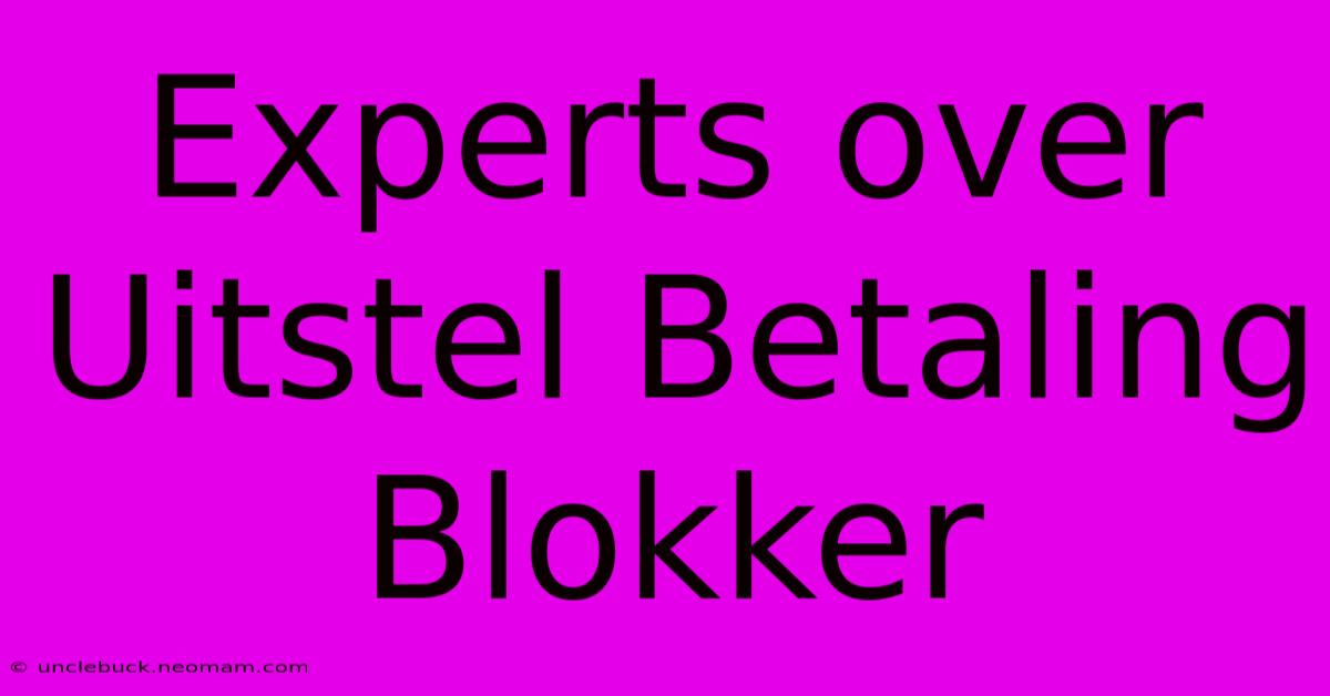 Experts Over Uitstel Betaling Blokker 