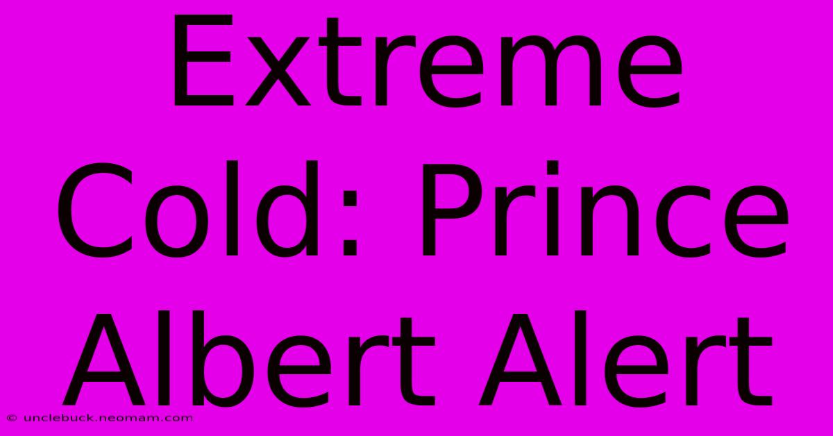 Extreme Cold: Prince Albert Alert